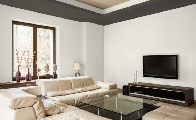 Дизайн интерьера. Фото. Природные цвета краски для стен. Готовые цветовые схемы для вашего дома.