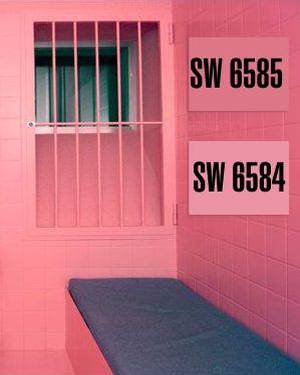 Розовая тюрьма. Розовый цвет в интерьере. Дизайн интерьера. Розовые стены, обои