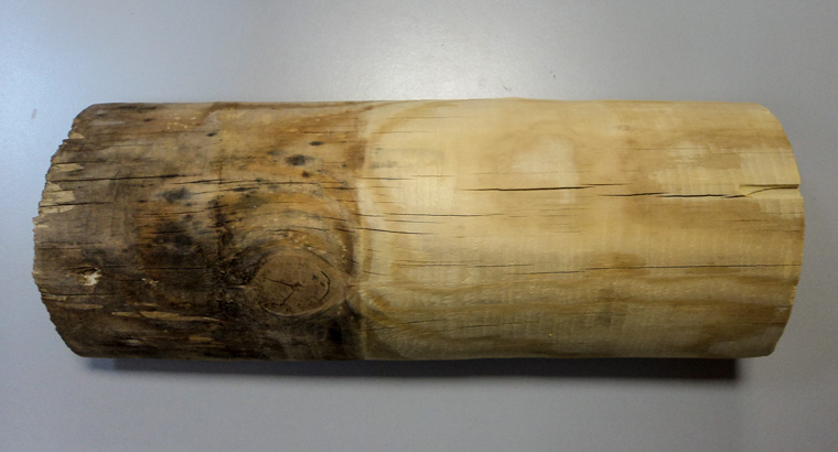 Пример применения средства Wood ReNew для очистки древесины